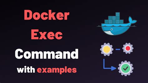 docker exec --workdir tmp container-name pwd This example command sets the tmp directory as the working directory, then runs the pwd command, which prints out the present working directory Output tmp The pwd command has confirmed that the working directory is tmp. . Docker exec as root